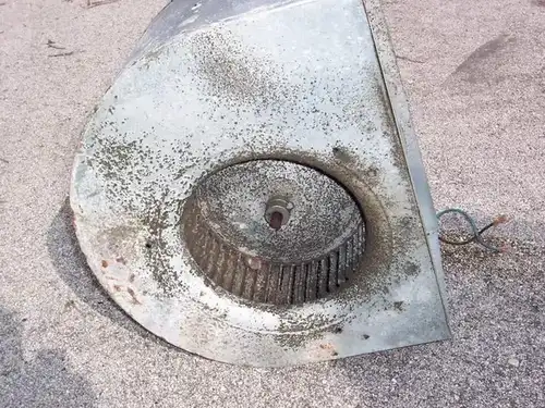 Dirty blower wheel from Miami home AC unit before cleaning