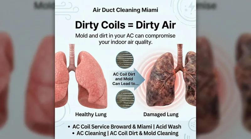 Dirty AC vents and coils cause dirty air and lung damage in Hialeah FL — healthy lungs vs damaged lungs from mold and dust